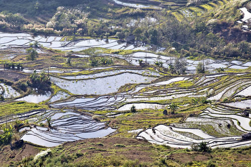 梯田|山势最险峻复杂、气势最恢宏壮观，大地雕塑最高典范，老虎嘴梯田