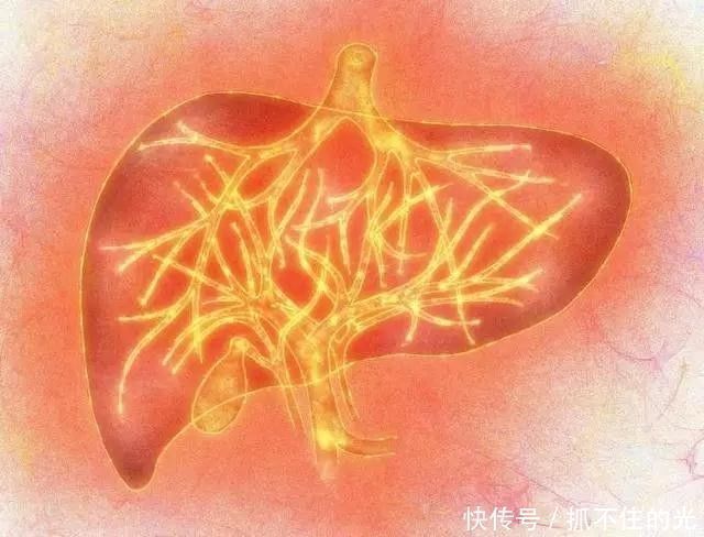 金银花|口干、口苦、口臭，肝火旺，用它泡水喝，三天见效