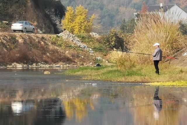 天冷钓鱼要多“逗”,鲫鱼经不起这诱惑,逗两下准咬钩