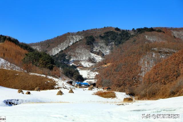 鸭绿江畔村子仅1户人家，雪山上放牛，冬天上山砍柴