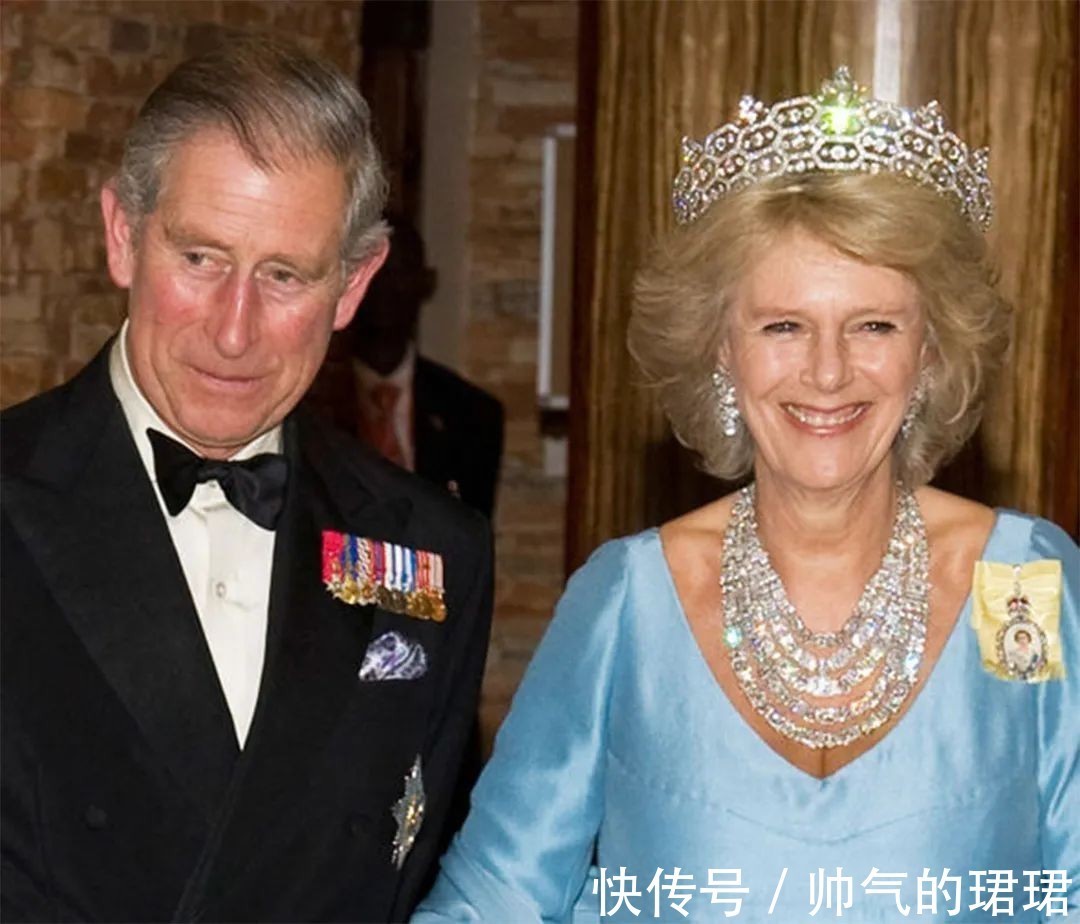 伊丽莎白 卡米拉的蛇形项链20年前做情人时查尔斯送的,蛇蝎气质一目了然