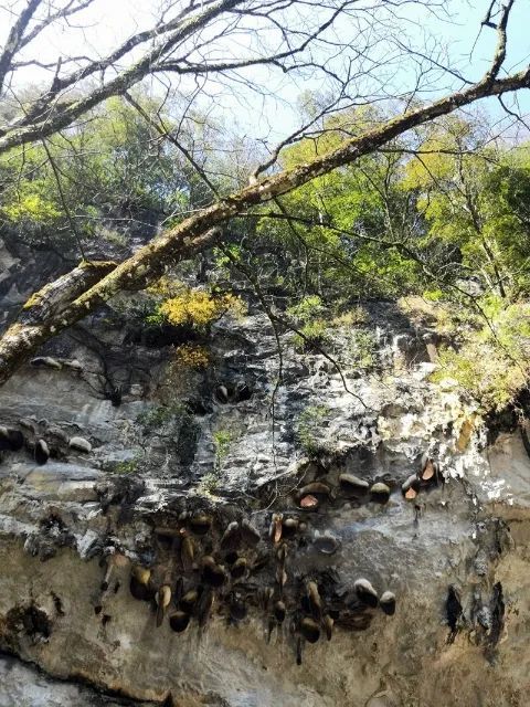 石洞村|屏边县石洞村，一枚镶嵌在群山中的宝石