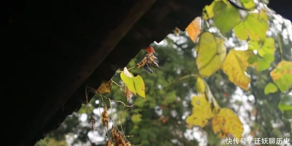 烟雨夜读 澹然方寸内,何不任虚舟