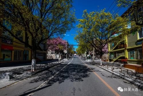 四季金山——藏在甘井子椒金山的那爿静止时光