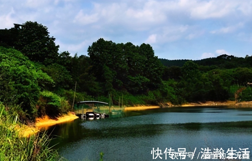 高手|钓鱼高手狂拉大板鲫有绝活，这10个字一年四季都受用——盛世三渔