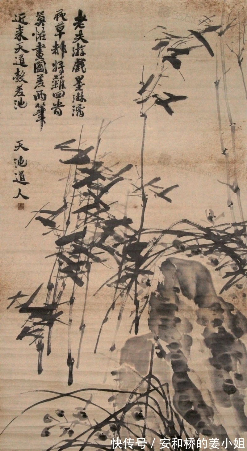 芭蕉！花鸟画一代宗师｜徐渭画竹，当在青藤之后，芭蕉之上，你认为呢？