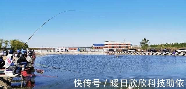 效果|钓鱼遇到这三种鱼情,要学会放口,比主动抓口的效果更好