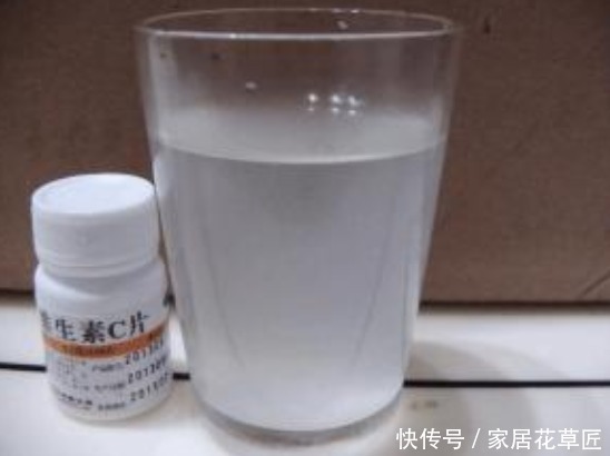 “君子兰”若总是烂根，不如用点“3种溶液”，根系长得更健康