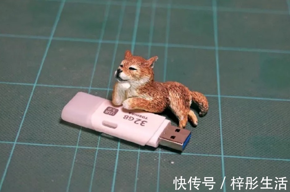 我是谁|他用手工雕塑高度还原魔性动物表情包,这画风也太搞笑了吧!
