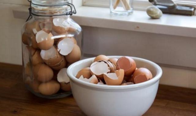 废油|厨房里这3样垃圾,废油、鸡蛋壳、淘米水,拿来养花效果一级棒