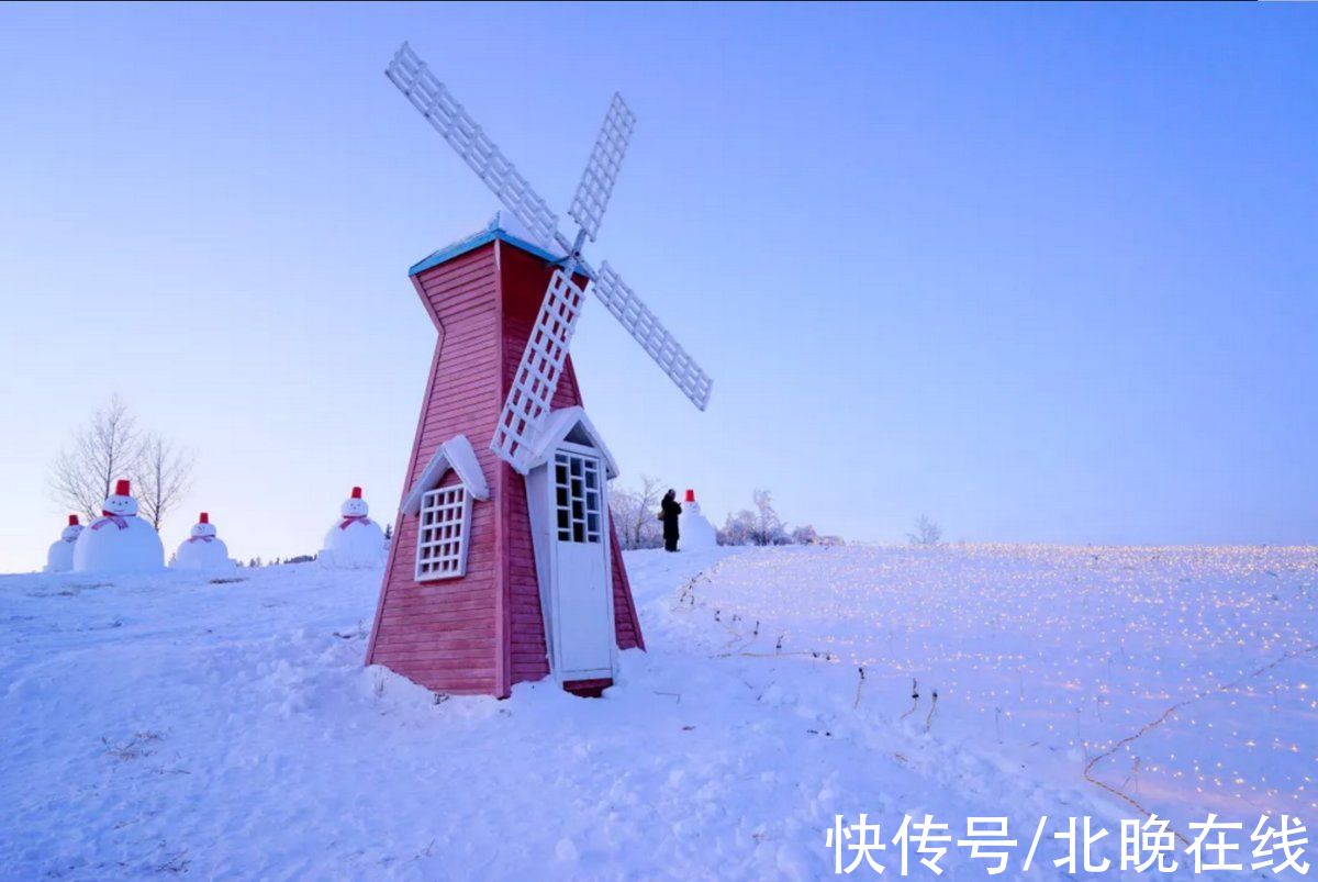 冰雪|雾凇与冰雪相伴 额尔古纳湿地现冬日活力