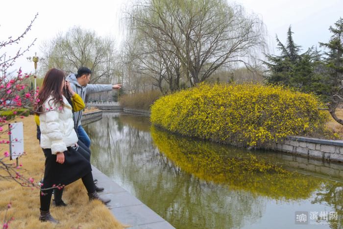老年|邹平韩店：初春景色美如画