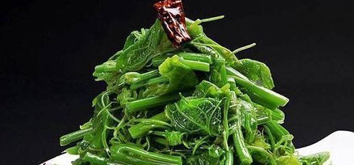 农村|农村以下野菜被称为山野菜之王，能降血压、清洁肠道、美容养颜