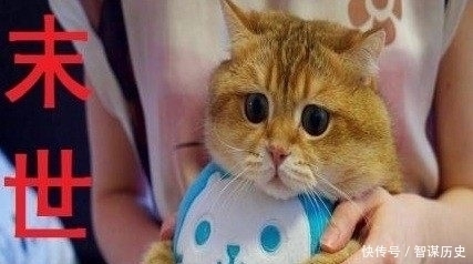 改装|3本好看的末世小说,第二本超级好看,没看过咋能说书荒!