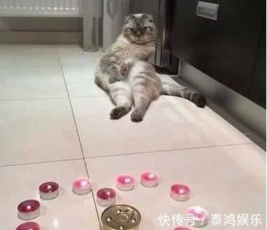 |笑话段子家里停电找电工,等一晚上没来,问原因他却说……