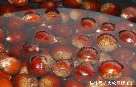 板栗新鲜上市,就该这么保存,不蒸不晒,不起虫发黑,留着冬天吃