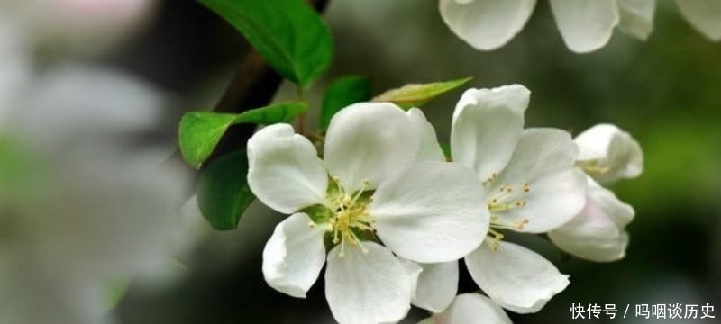这首诗!李商隐的这首《花下醉》,也是难得的名篇,表达了一种无奈的人生