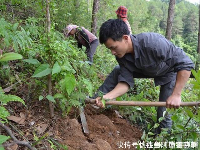 中医治“肾虚”的小方子一味药，让我认识到中医的博大精深