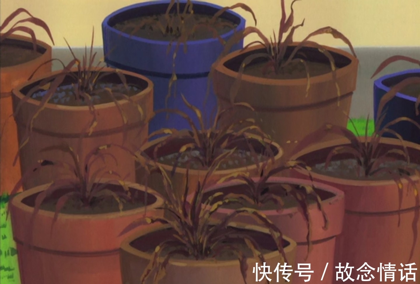 柯南|柯南来到大阪游玩,居然还碰到了和侦探团相似的人