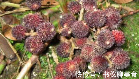 干果|竹林中的野果产量极少,物以稀为贵,制成干果1斤2千元!