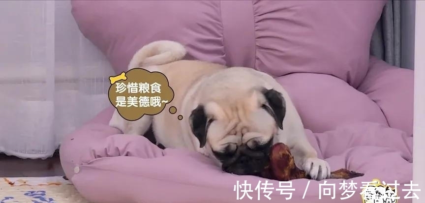 毛不易和李雪琴,你俩是不是忘了还有个汪苏泷?