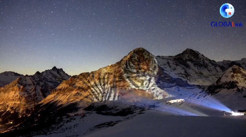 北京冬奥会|瑞士艺术家用“老虎”灯光秀为北京冬奥会加油