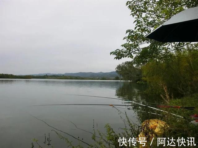 钓友|罕见!四川三岔湖“翘嘴鱼王”被人钓上岸,钓友反馈:抱不动啊