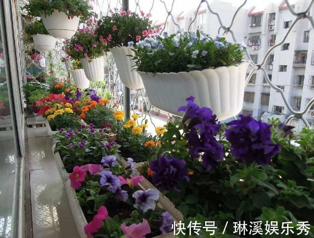 种花|4种''路边垃圾''不简单,带回家处理好养花,啥肥料都不再缺了