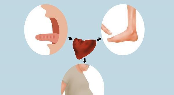 湿气|脾胃不好,舌苔白厚有齿痕、舌头有裂痕,该怎么调理?