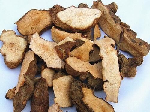 汗疱疹|有一味中药解毒，除湿，利关节，每日服用可以有效预防痛风