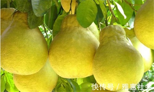 排毒|聪明的人爱吃3种食物,疏通血管,排毒消脂,刮油瘦身