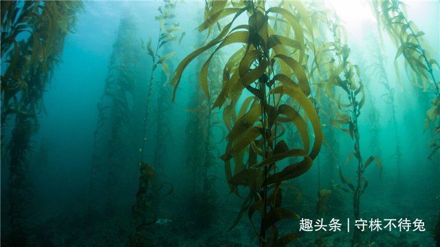 24个冷知识或许也曾知晓,但却没有深入了解的奇怪知识