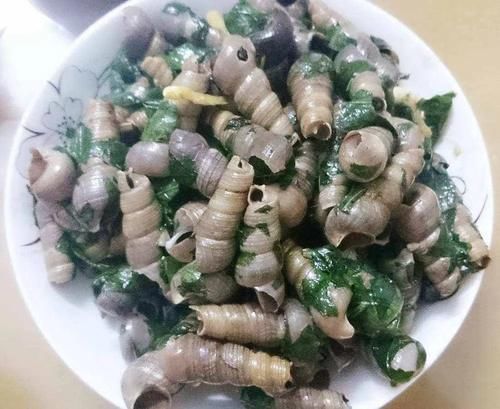 竹林里很多，不浇水不施肥也能活，炒田螺是一绝，春季可别错过了