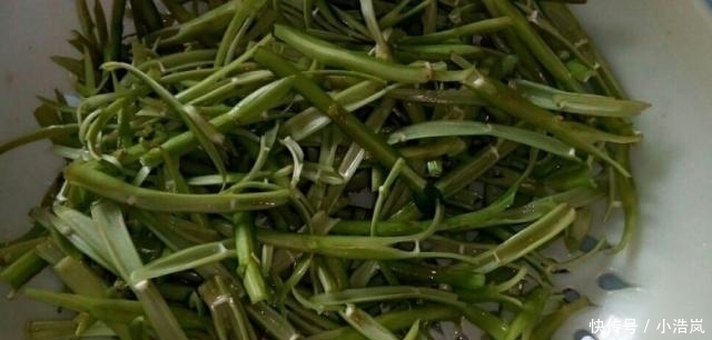 爆炒|这菜是个宝，看见再贵也要买，吃一次等于给肠胃洗个澡！