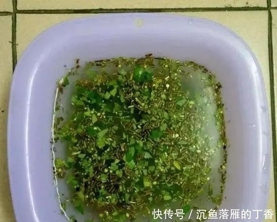 扦插|生根剂不用买,用家家都有的“小东西”,2分钟就能制出来