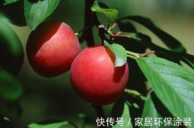 夏天|夏天，女人不想脸上有斑，经常吃此水果，能美容淡斑、延缓衰老