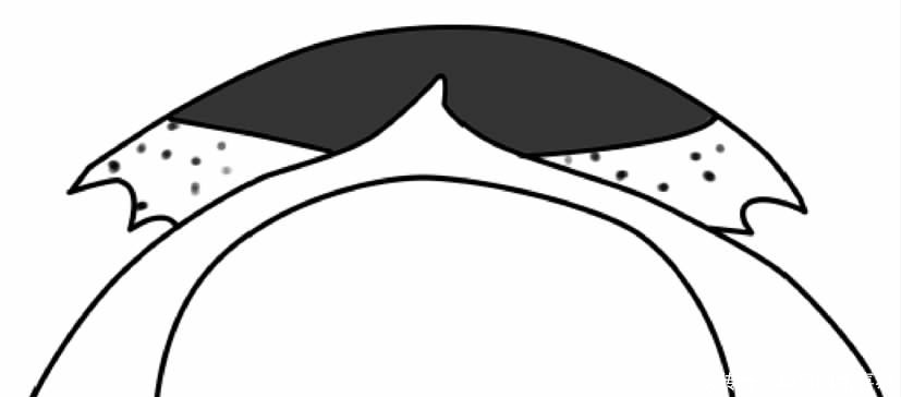 依据|莫高窟壁画中的“盖”长什么样?