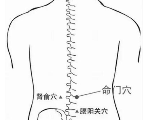 拇指|五脏最喜欢这个动作，每天做一次，强健心肝脾肺肾，疾病减少