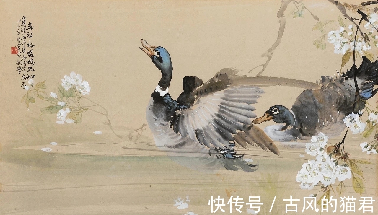 花鸟画!独特的魅力|张书旂花鸟画