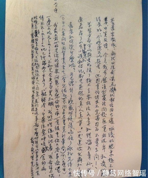 英文#植物大战僵尸:它们能够取代坚果家族?站着不动都能消灭僵尸!