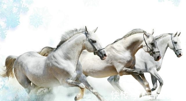 收入|9月底,好运成双,惊喜连连,苦尽甜来,3生肖收入倍增,多财多福