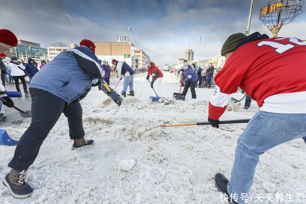  搭档|大雪过后，是冬补“黄金期”，萝卜与4种肉“搭档”，一冬不怕寒