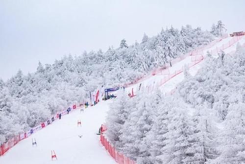 2-3月的旅行榜单来了,春节本地过年和周边游正合适