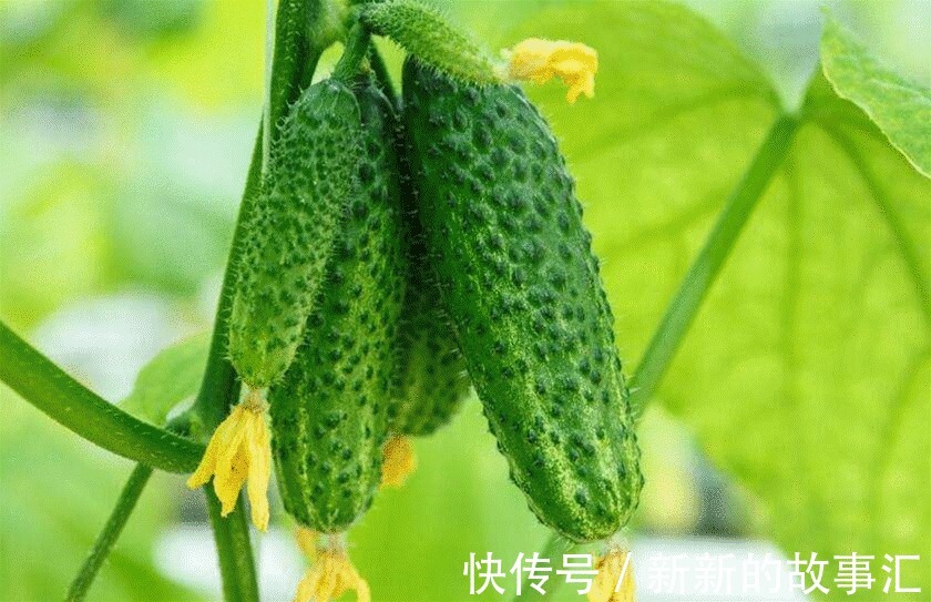 美容养颜|衰老快的女性和衰老慢的女性,有什么区别建议了解