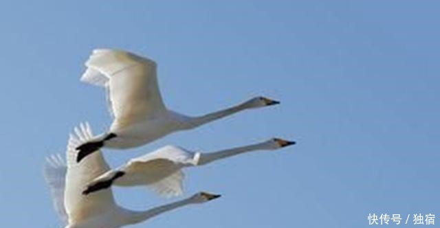 踌躇满志|一代帝王,写一诗踌躇满志,却鲜有人知他在晚年留一诗无可奈何!