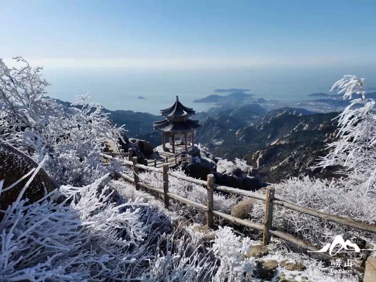 第一场雪|首秀大片来袭！崂山，下雪啦