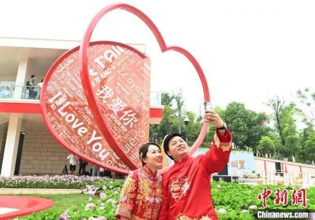 新房|婚房,买还是不买?