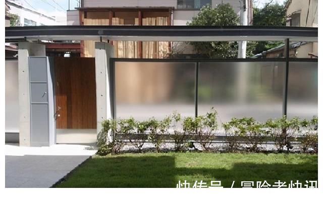 石笼网|砌院墙不用砖头,直接用磨砂玻璃,衬着绿植美成一幅画!