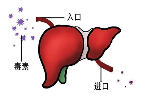 经血里总是有血块，是怎么回事？像“肉”一样的血块是什么？