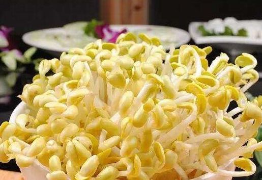 发芽的大蒜有毒不能吃？营养师：4种食物发芽后，吃了对身体更好